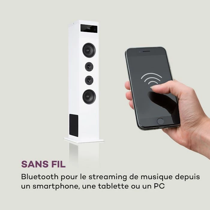 Auna Enceintes HiFi Karaboom 100 Enceinte Colonne – Image 4