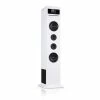 Auna Enceintes HiFi Karaboom 100 Wifi Enceinte Colonne