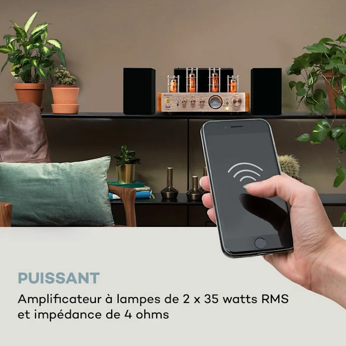 Auna Amplificateurs HiFi Amp VT Amplificateur à Tubes – Image 2