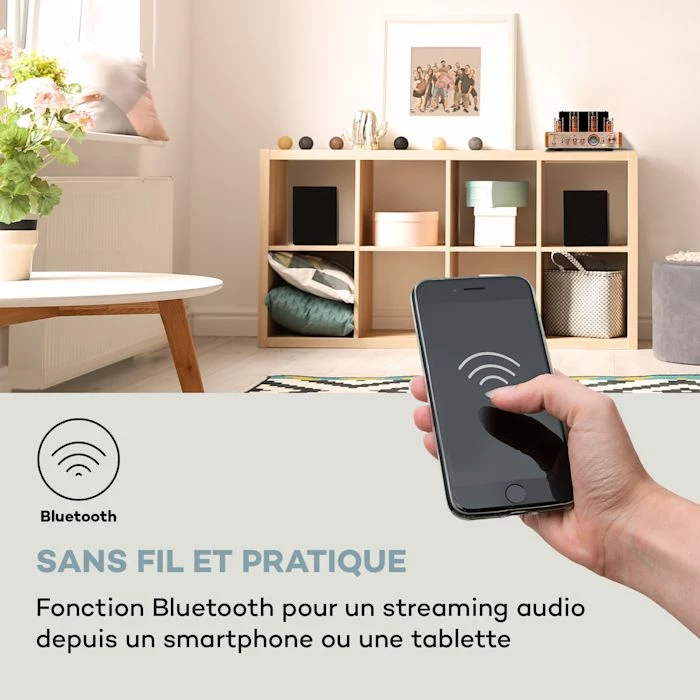 Auna Amplificateurs HiFi Amp VT Amplificateur à Tubes – Image 4