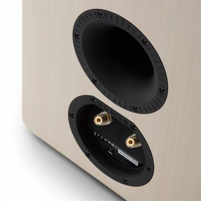 Numan Chaînes HiFi Unison Retrospective 1978 MKII Edition + Protections – Image 4